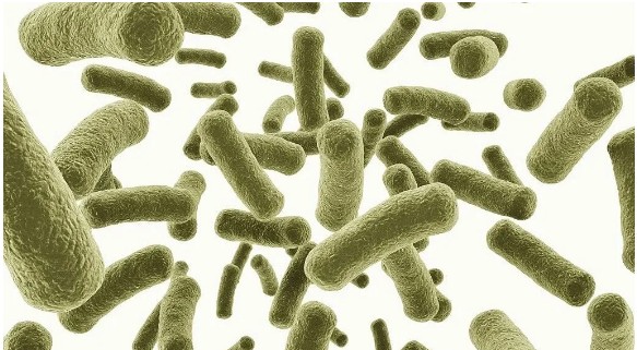 溫氏一季度凈利下降70%！牧原卻增長(zhǎng)60% 都養(yǎng)豬差距為啥這么大？