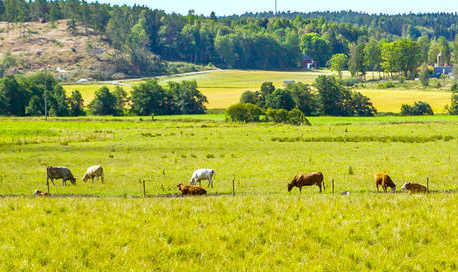 談牛論羊丨干貨滿滿的聽課筆記