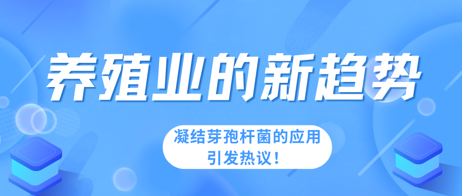 “養(yǎng)殖業(yè)的新趨勢：凝結(jié)芽孢桿菌的應用引發(fā)熱議！“