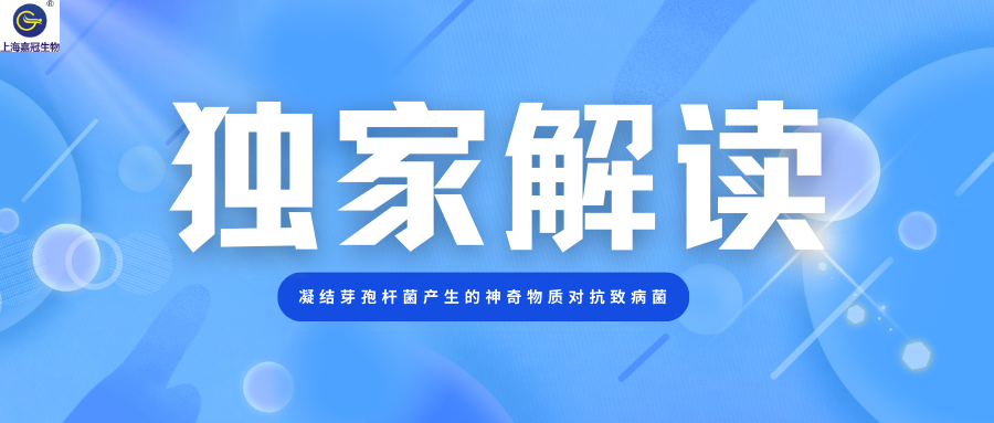 獨(dú)家解讀：凝結(jié)芽孢桿菌產(chǎn)生的神奇物質(zhì)對(duì)抗致病菌